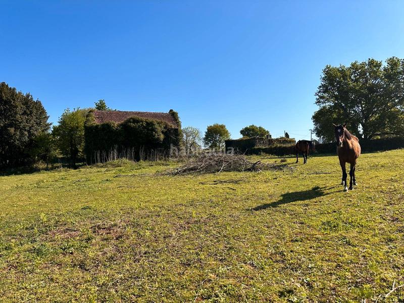 Foto abcc8d07-a9a4-4f53-8fe0-0755cb520b7f. Casa a rúa argimiro gonzález neira 7 a Vedra