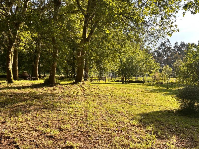 Foto 0ef4dee6-8edf-4571-a380-c6f8bbf7a317. Xalet a dp-8901 29 a Vedra