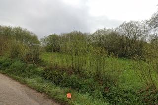 Finca rústica en Carballo. Se venden parcelas urbanas - xoane da carretera