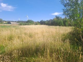 Fondo rustico  Calle burgos. Se venden dos fincas juntas en total 1600m2