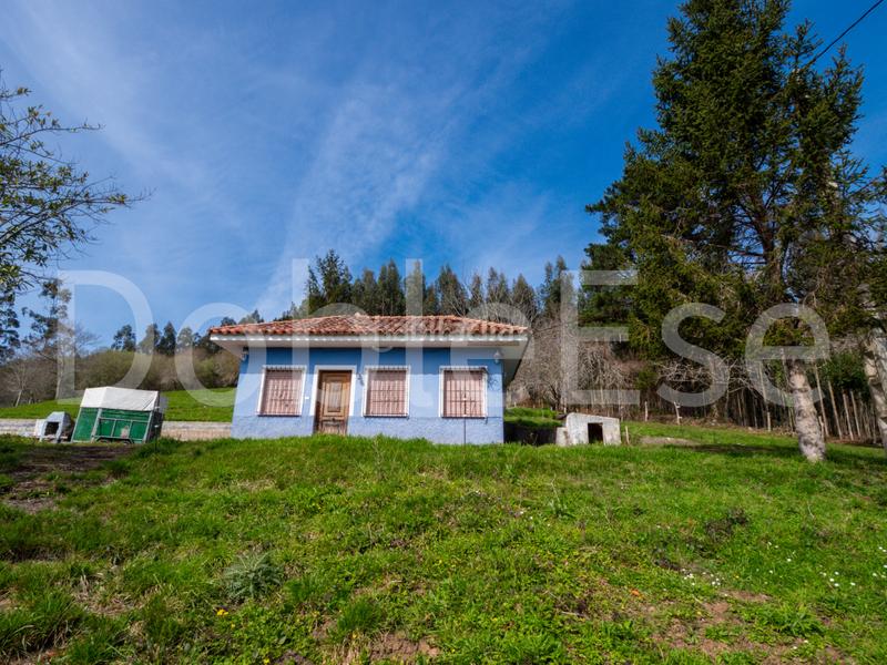 Foto 07851f18-582a-47cc-a6ff-2da193973ecc. Terreny residencial a Colunga - barrio de linares - Colunga 31 a Colunga