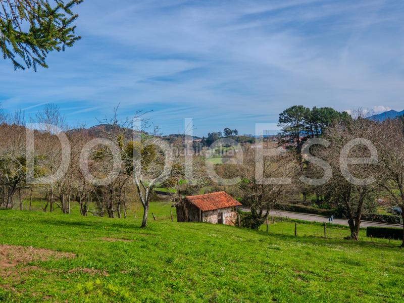 Foto 6573a9f8-795f-48aa-a96d-73da2abdcc49. Terreny residencial a Colunga - barrio de linares - Colunga 31 a Colunga