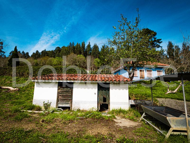 Foto 8481ccff-bd28-4e6f-b67e-4221f214271e. Terreny residencial a Colunga - barrio de linares - Colunga 31 a Colunga