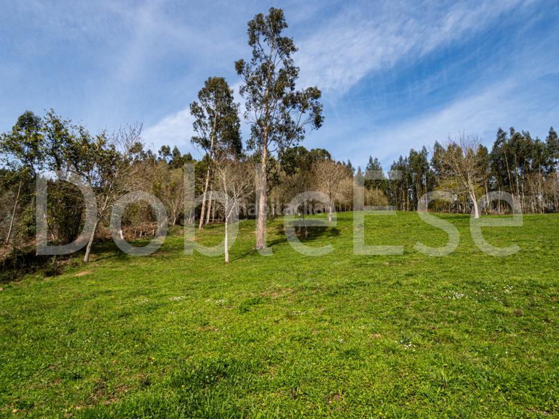 Foto 8f95f54d-0951-46a0-b423-ca4d03a312a2. Terreny residencial a Colunga - barrio de linares - Colunga 31 a Colunga