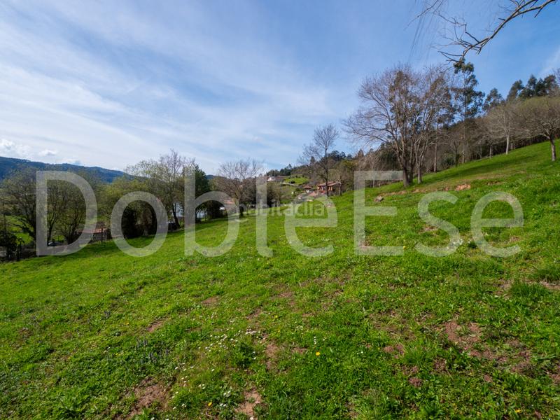 Foto d19e909d-b57e-451b-af69-663c42c388aa. Terreny residencial a Colunga - barrio de linares - Colunga 31 a Colunga