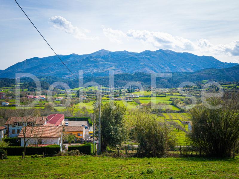 Foto e2b7a51d-96c5-4ba5-9ce0-1b628b810742. Terreny residencial a Colunga - barrio de linares - Colunga 31 a Colunga