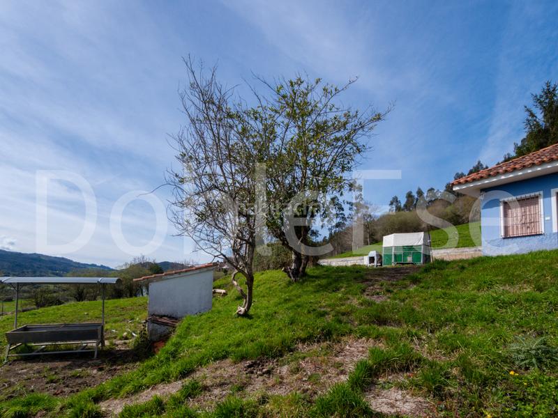 Foto eb82539f-30df-486b-9913-9bead603f8f0. Terreny residencial a Colunga - barrio de linares - Colunga 31 a Colunga