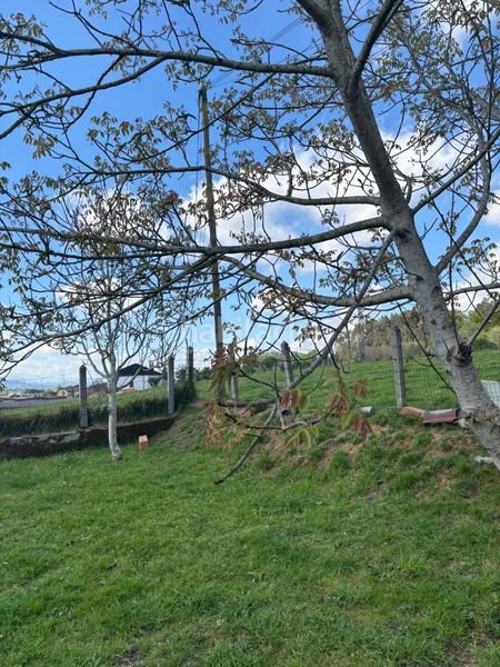 Foto c1f896b0-aeaf-4b6d-9640-eb1f0a095694. Casa amb calefacció aparcament a Parroquias Norte Siero