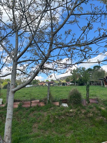 Foto f0949682-e931-4b66-aaed-59f7c67202cb. Casa amb calefacció aparcament a Parroquias Norte Siero
