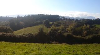 Terreno residenziale  N/a. Finca venta llanera
