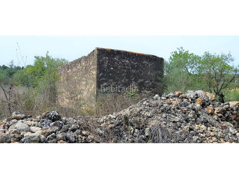 Foto 3bcf50ef-5719-4c28-ac5a-e4ca935a57ed. Wohngrundstück in Vallmoll