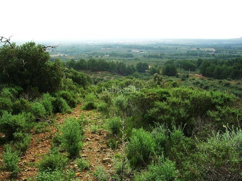 Foto 404b4e43-5e24-4d22-a369-e190a7a28b3c. Finca rústica a Riudecanyes