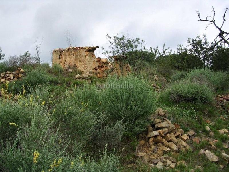 Foto 627f1aa8-3d69-44bf-87bc-0fece550435c. Terreno residenziale in Riudecanyes