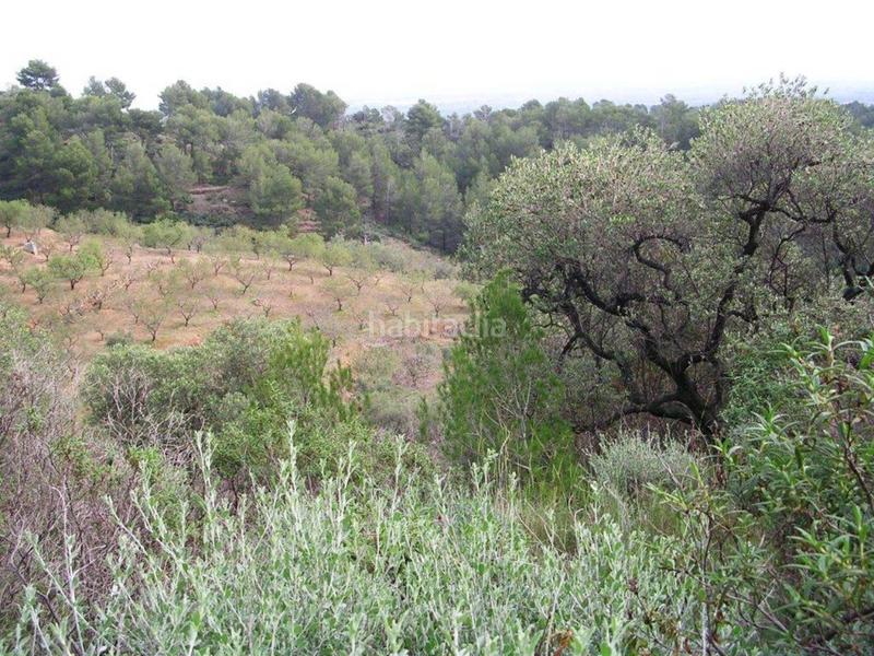 Foto 7b8a1353-6292-4170-818c-d82aa641e4ad. Terreno residenziale in Riudecanyes