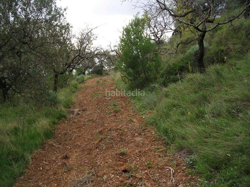 Foto 922a0674-8efa-42fa-962f-288f2c049e54. Terreno residenziale in Riudecanyes