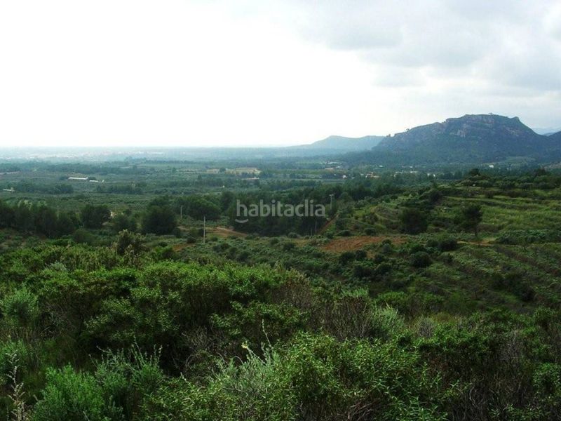 Foto b0f0bc77-058d-4a9d-9372-39f5e587e3e6. Finca rústica a Riudecanyes