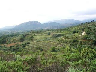 Terreny residencial  Mestral. Finca rustica en venta