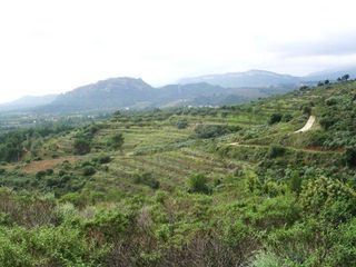 Propriété  Calle mestral. Finca rustica en venta