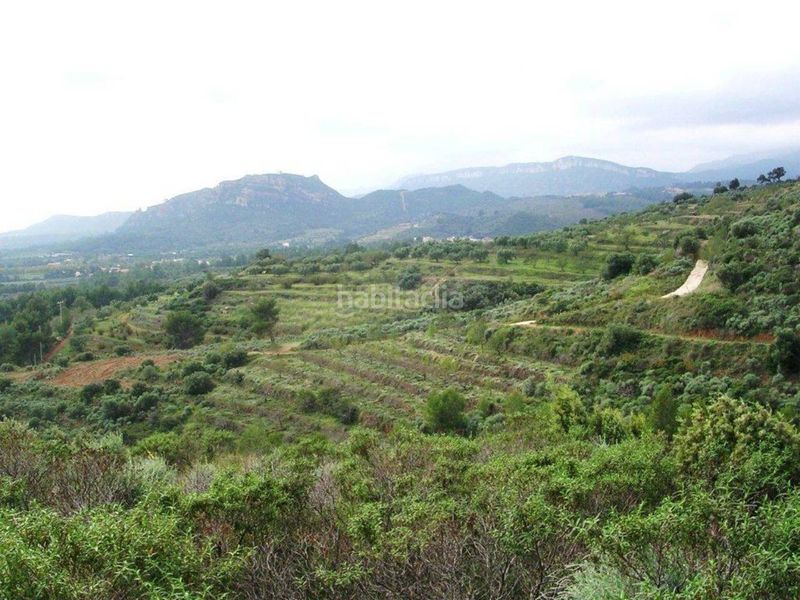 Foto bcbe8daa-998a-4a0e-8560-90d0ecd2fa24. Finca rústica a Riudecanyes