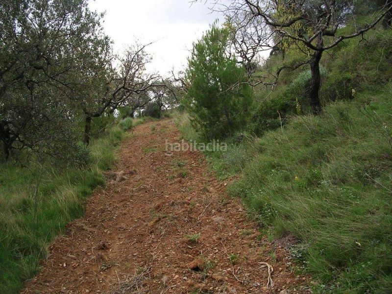 Foto d46824ac-8787-40e6-8fa5-74613a5360bd. Finca rústica a Riudecanyes