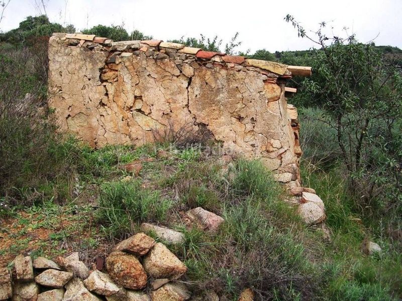 Foto d6770de1-a285-4b7a-a2a0-a6237609cf50. Finca rústica a Riudecanyes