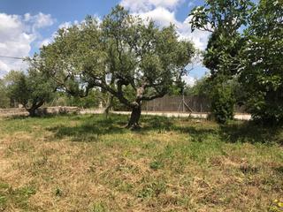 Residential Plot  Carrer j. Terreno en venta