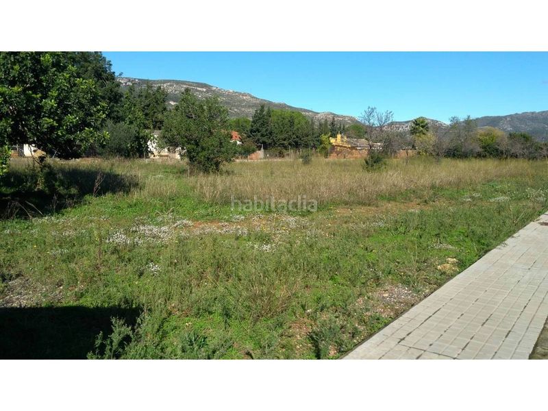 Foto 90e21466-3f32-4bcc-b9ee-f1b17a723ba6. Terreny residencial a Alcover