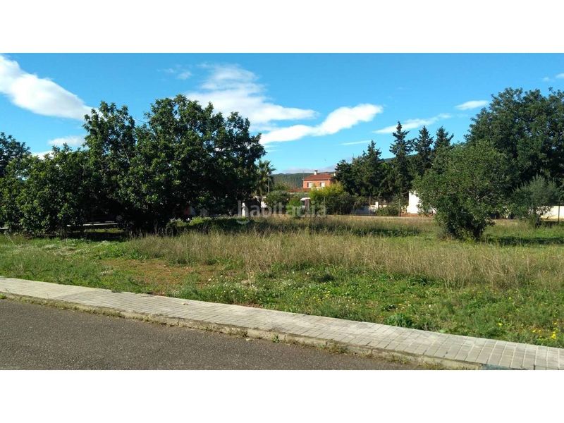 Foto c148addc-6d0d-4ec2-85f9-f62df834b564. Terreny residencial a Alcover