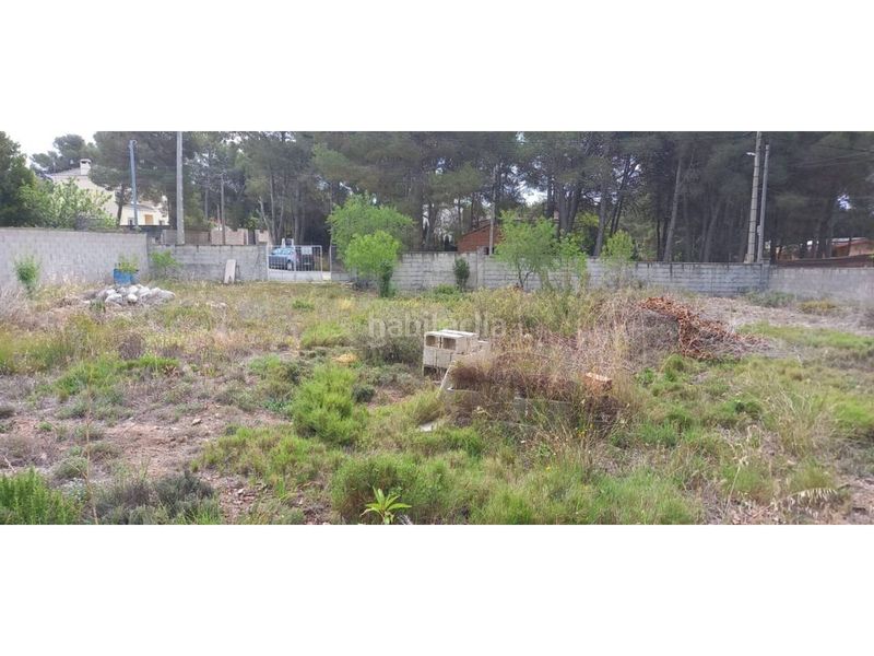 Foto d584a554-0832-46fc-a3c2-f92b342e870d. Finca rústica terreno en venta en Cabra del Camp