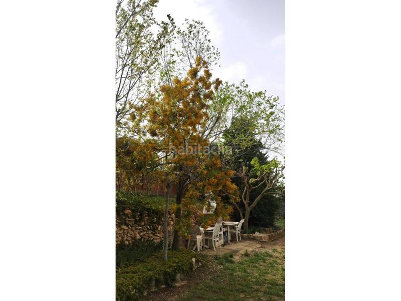 Foto 4ecbae25-8099-446d-a093-fdc7c62a4dc6. Masía venta de masía en Cabra del Camp