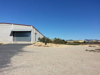 Solar industrial  Zona industrial -ruanes (pp3). Terreno industrial en venta en puigpelat