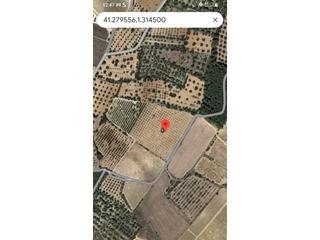 Finca rústica  8 parc 52. Terreno rústico en venta