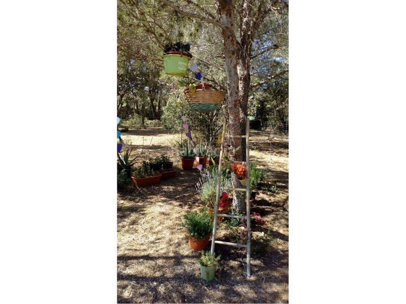 Foto 4a3de180-aefb-4868-bc58-7484c1872c32. Finca rústica a Pla de Santa Maria (El)