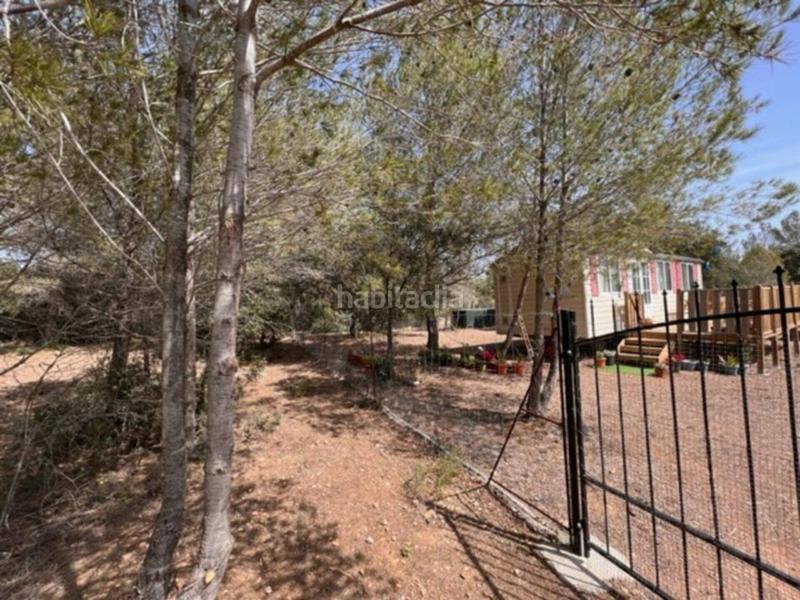 Foto 62af5813-361a-47f3-bd85-6e5f9c943101. Finca rústica a Pla de Santa Maria (El)