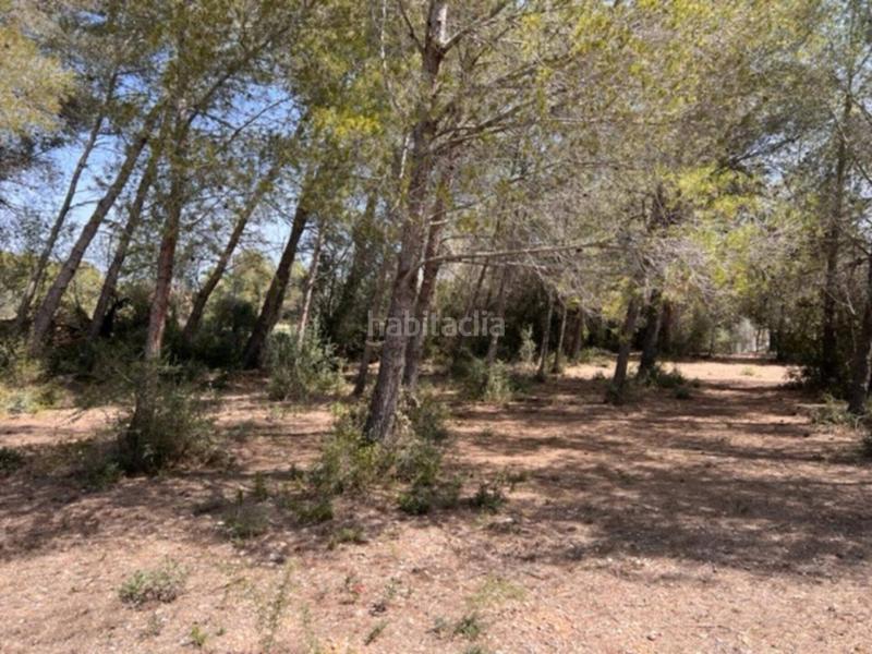 Foto 7b247452-7acc-439b-9d3c-b676f5173898. Finca rústica a Pla de Santa Maria (El)