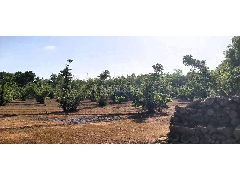 Foto 2091d3b4-af60-41b6-9db4-e825fa7717e8. Alquiler finca rústica terreno rústico en venta en Valls