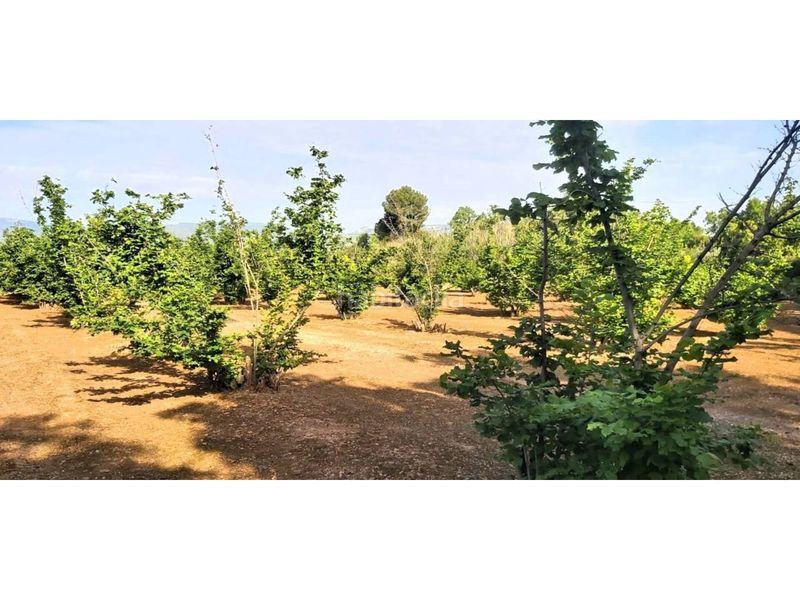 Foto 22bdc00d-fb40-4e82-96b5-938ae420c68f. Alquiler finca rústica terreno rústico en venta en Valls