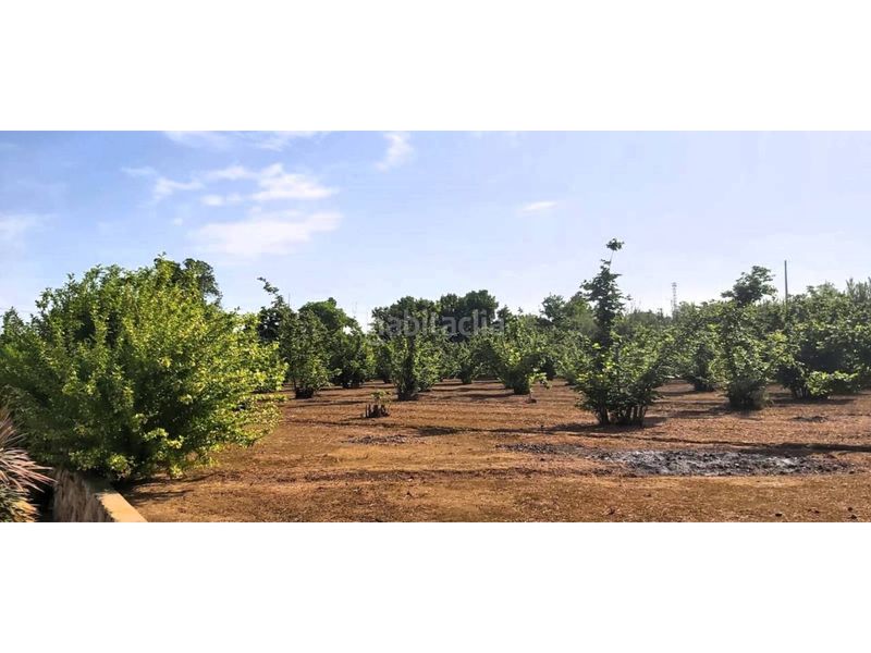 Foto 4d73880d-5bfe-42b6-87fc-9170a1a5e7a9. Alquiler finca rústica terreno rústico en venta en Valls