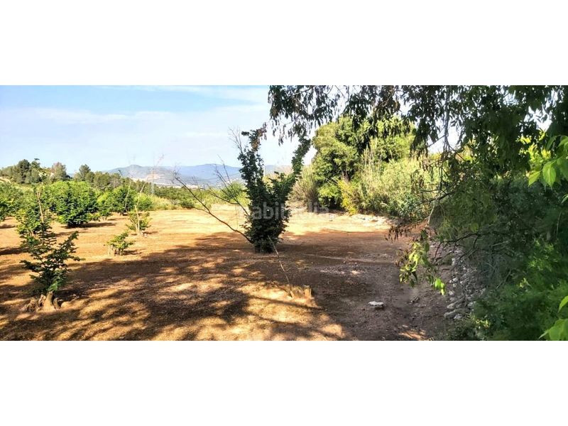 Foto 6c057276-95ee-4ae7-b10b-a99cbadd8fda. Alquiler finca rústica terreno rústico en venta en Valls