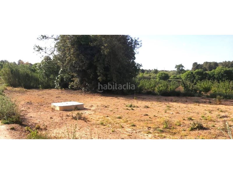 Foto 7b82e0b8-0956-43e0-84ba-a07c5eef7d63. Alquiler finca rústica terreno rústico en venta en Valls