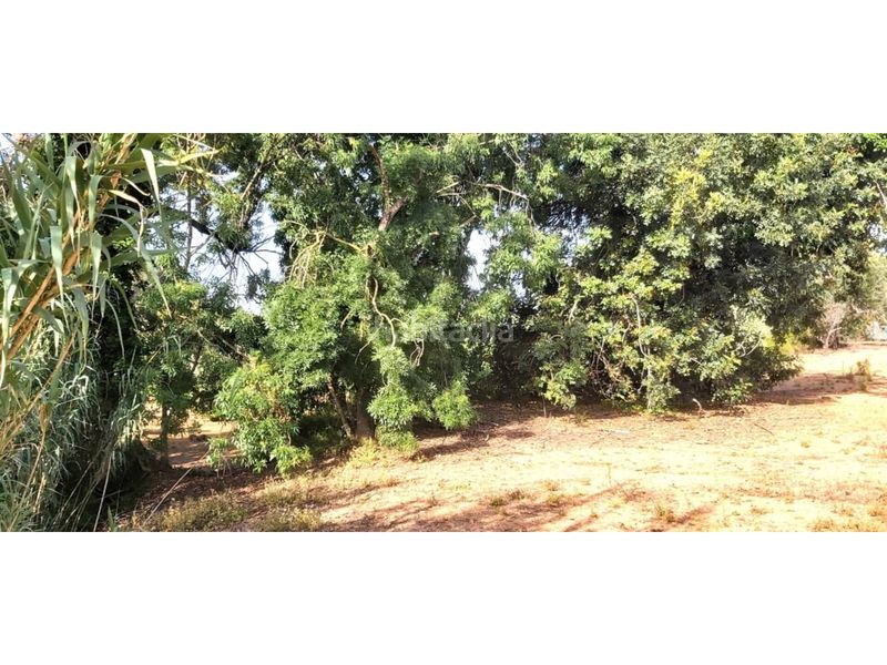 Foto c8c348e9-1987-487c-b6aa-332ab432c527. Alquiler finca rústica terreno rústico en venta en Valls