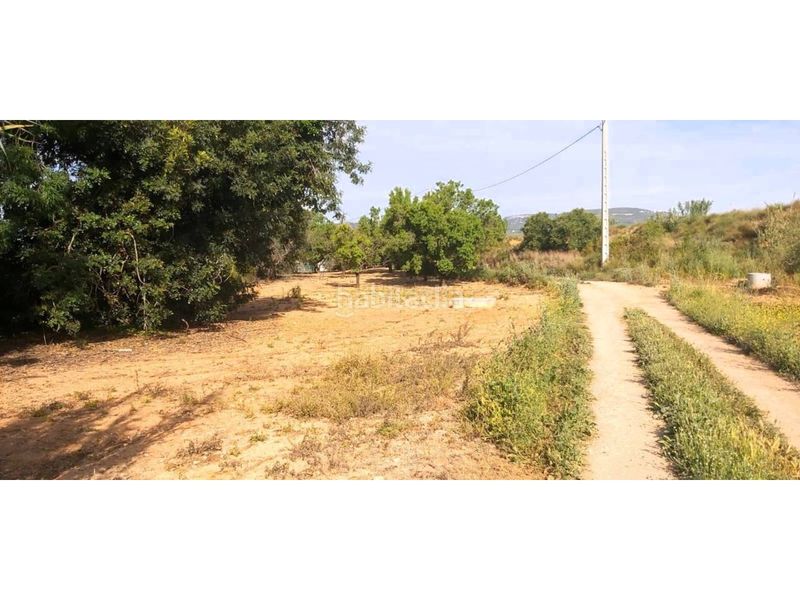 Foto de01fb2e-5b79-4371-90d0-3387372adfbe. Alquiler finca rústica terreno rústico en venta en Valls