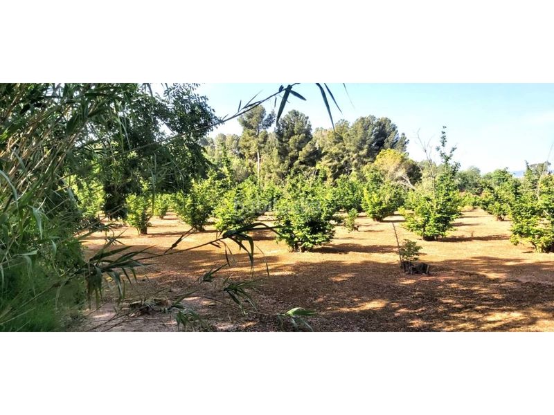 Foto e7f2122d-8674-426c-b835-d881e2a6675c. Alquiler finca rústica terreno rústico en venta en Valls