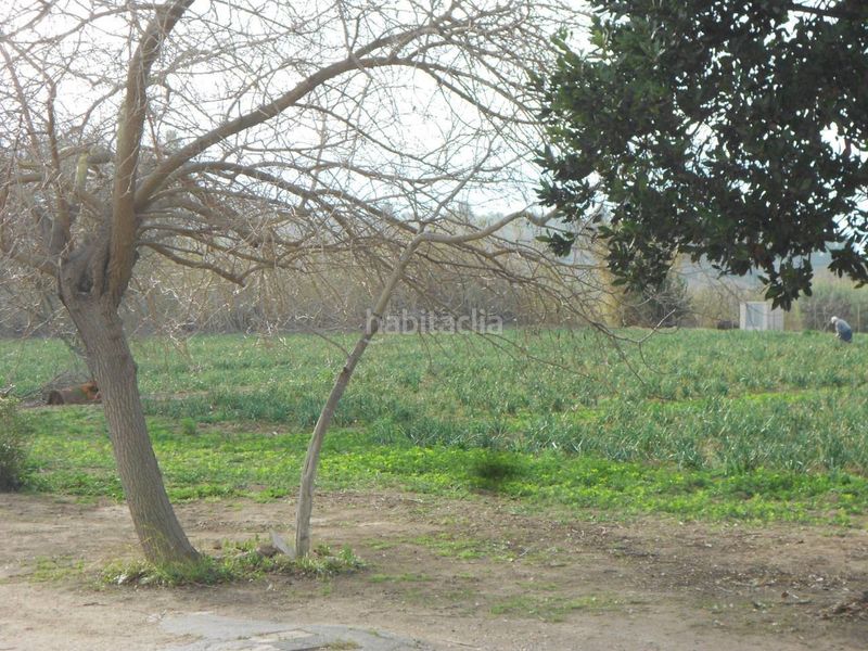 Foto 43f21607-41cc-403a-b31f-440a43c0b80a. Finca rústica terreno con edificación en venta en Valls