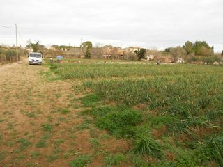 Finca rústica  Poligono parcela 474. Terreno con edificación en venta