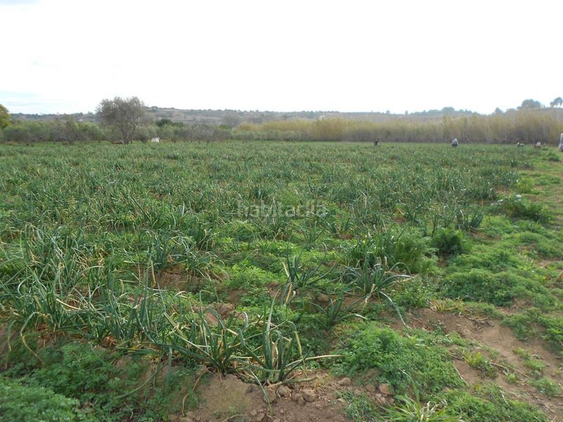Foto 6fa4a409-99a6-4d47-b278-b158a3ee0baa. Finca rústica terreno con edificación en venta en Valls