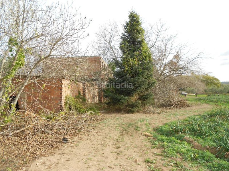 Foto 74a40407-e4d2-48fd-b768-1c3f9af0b8a6. Finca rústica terreno con edificación en venta en Valls