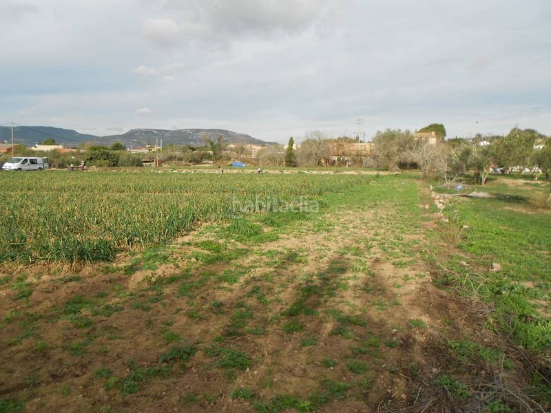 Foto d67aa868-c532-4bfb-b731-d8d0edb445ac. Finca rústica terreno con edificación en venta en Valls