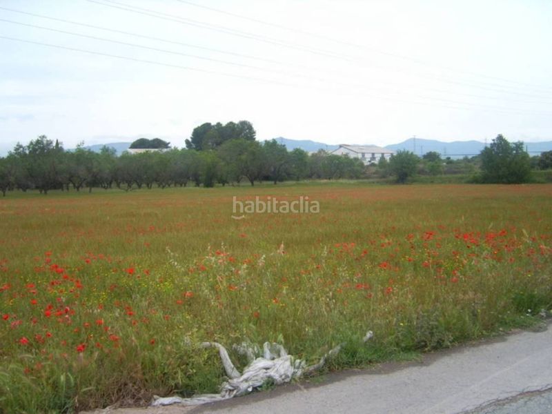 Foto 8deccd0d-edee-4665-81df-34c4c883225b. Terreno residencial venta de terreno en Puigpelat
