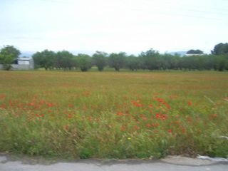 Terreno residencial  Calle ctra. valls-puigpelat. Venta de terreno en puigpelat